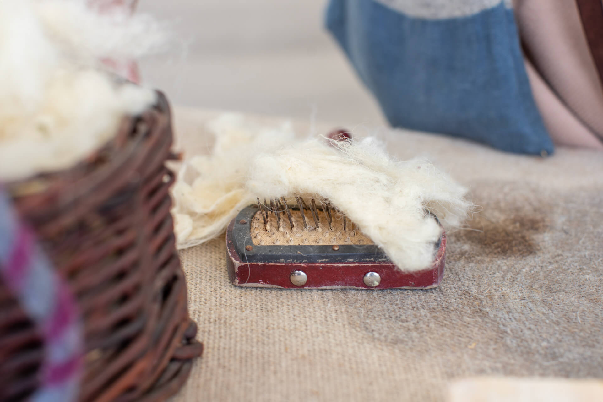 Archeoconcept IMG 1469